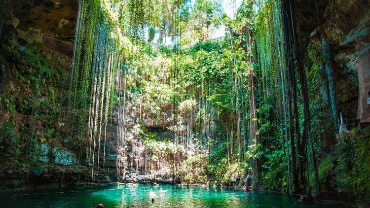 Best Cenotes in Mexico (2026)