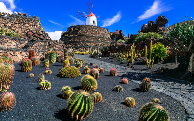 Upgrade Your Trip: Unusual Things to Do in Lanzarote