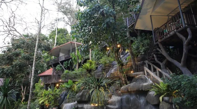 Rock and Tree House Resort