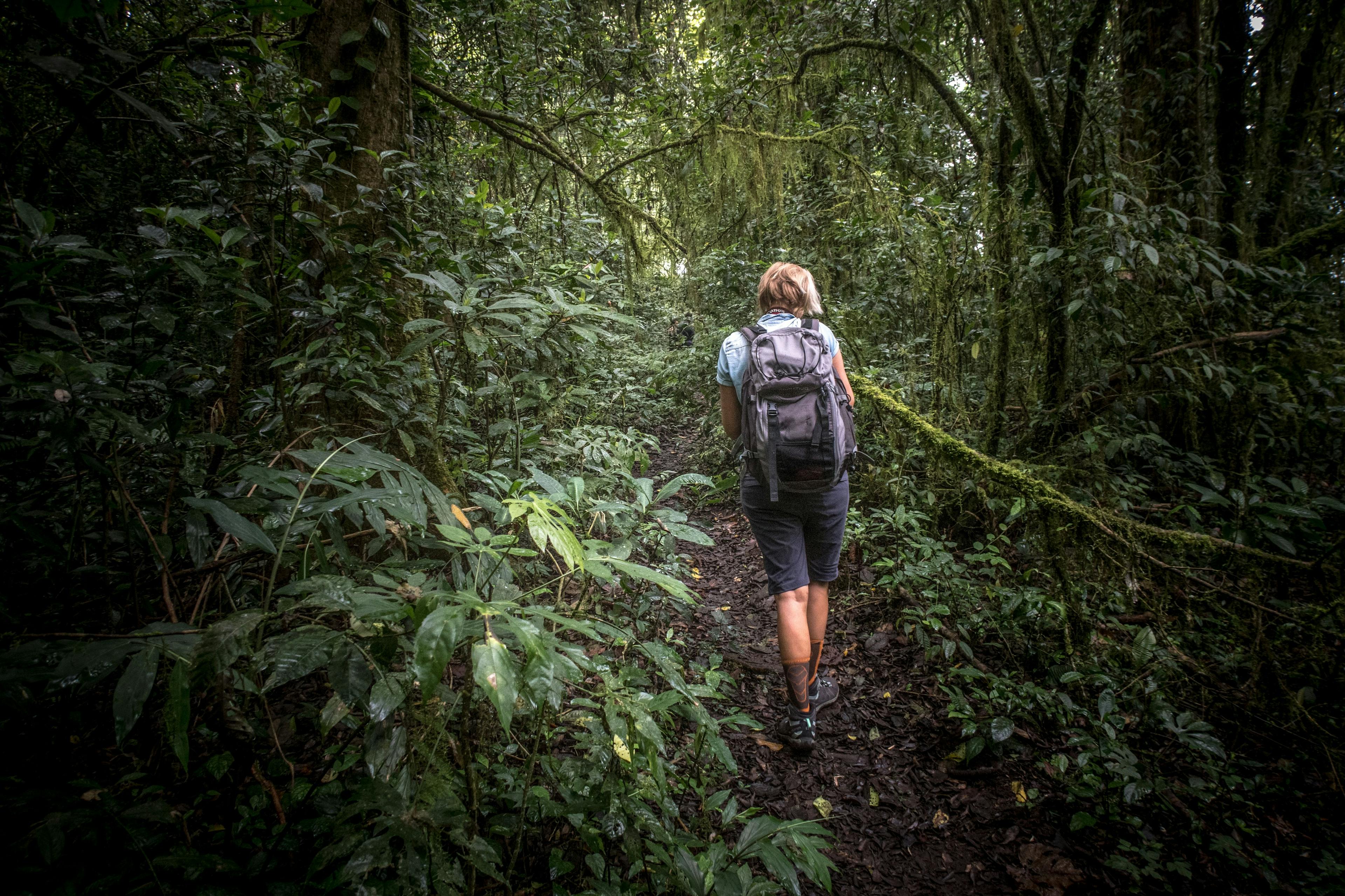Indonesia jungle trek - RatePunk