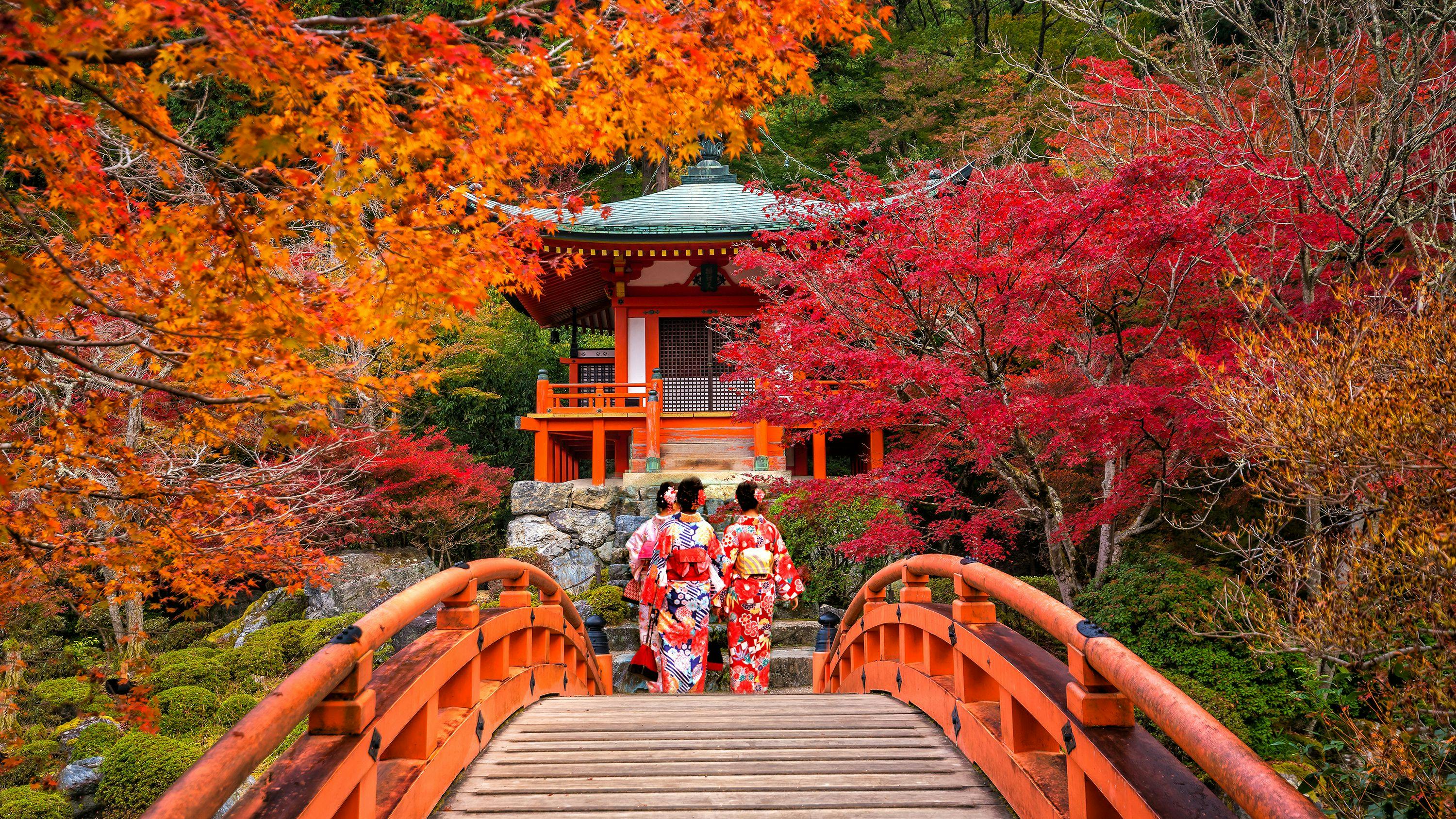 Fall Destinations - September - Japan