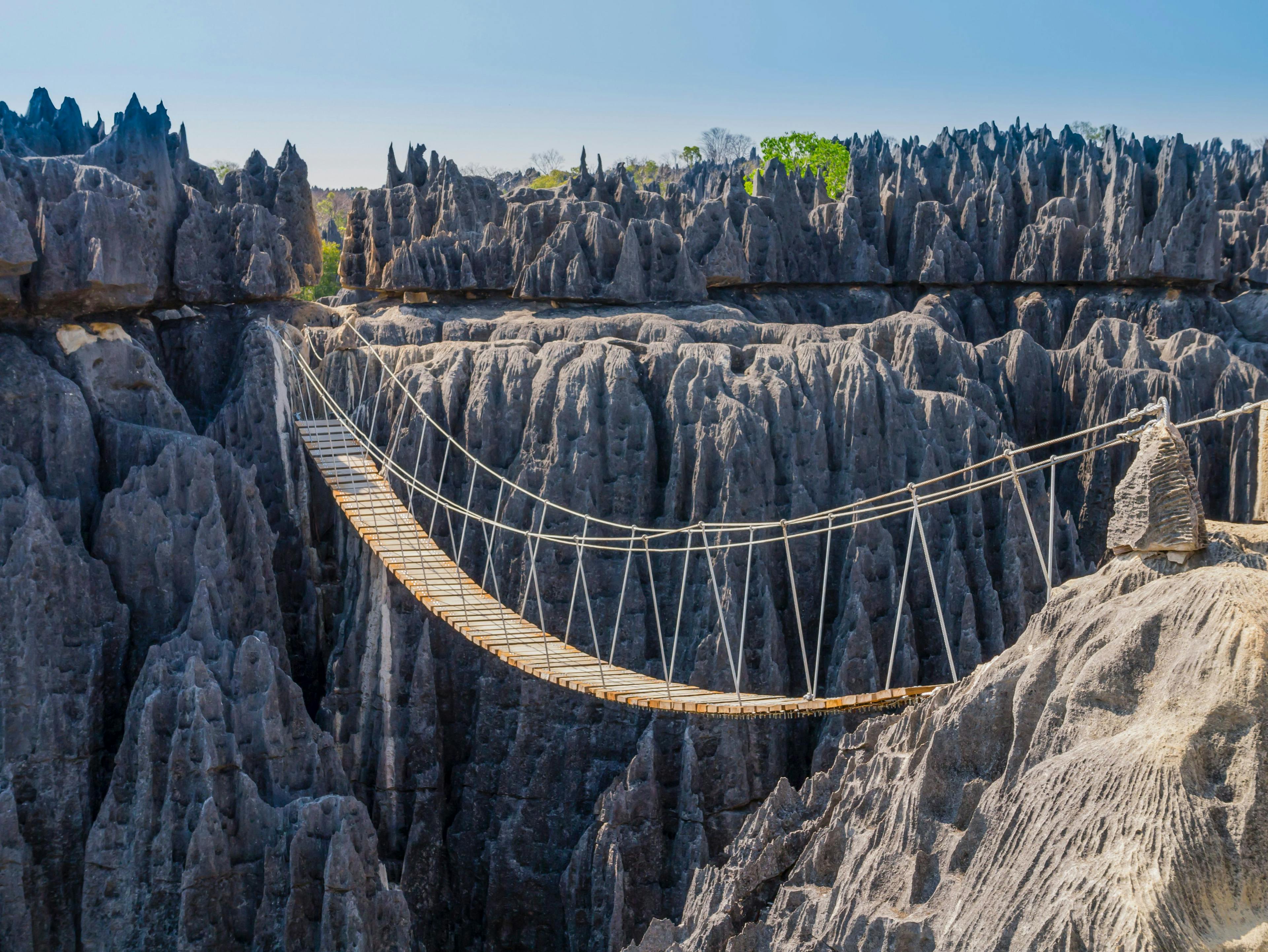 Hanging bridge over the canyon at Tsingy de Bemaraha National Park, Madagascar