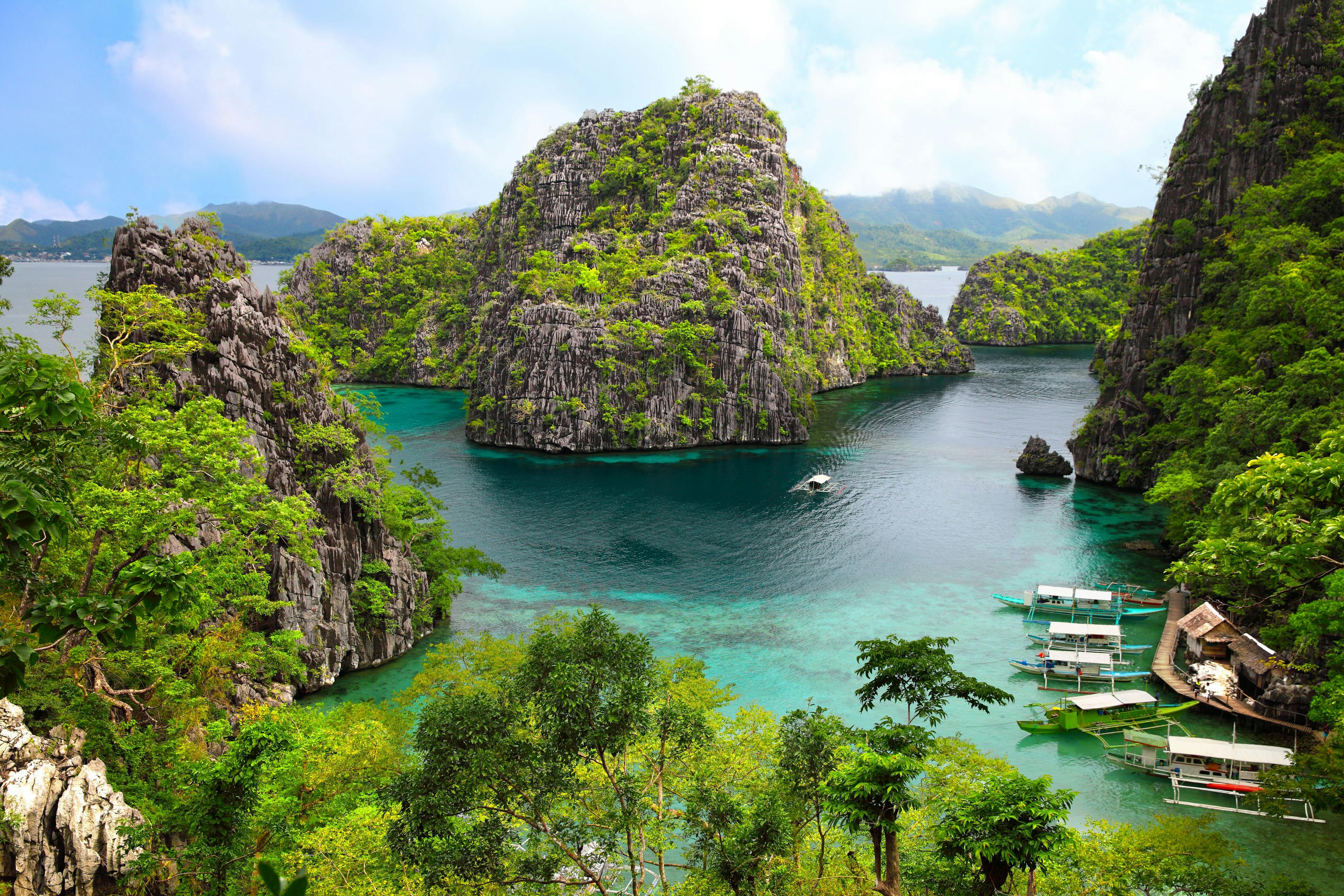 Thailand alternatives - Philippines - RatePunk  (picture Borneo)