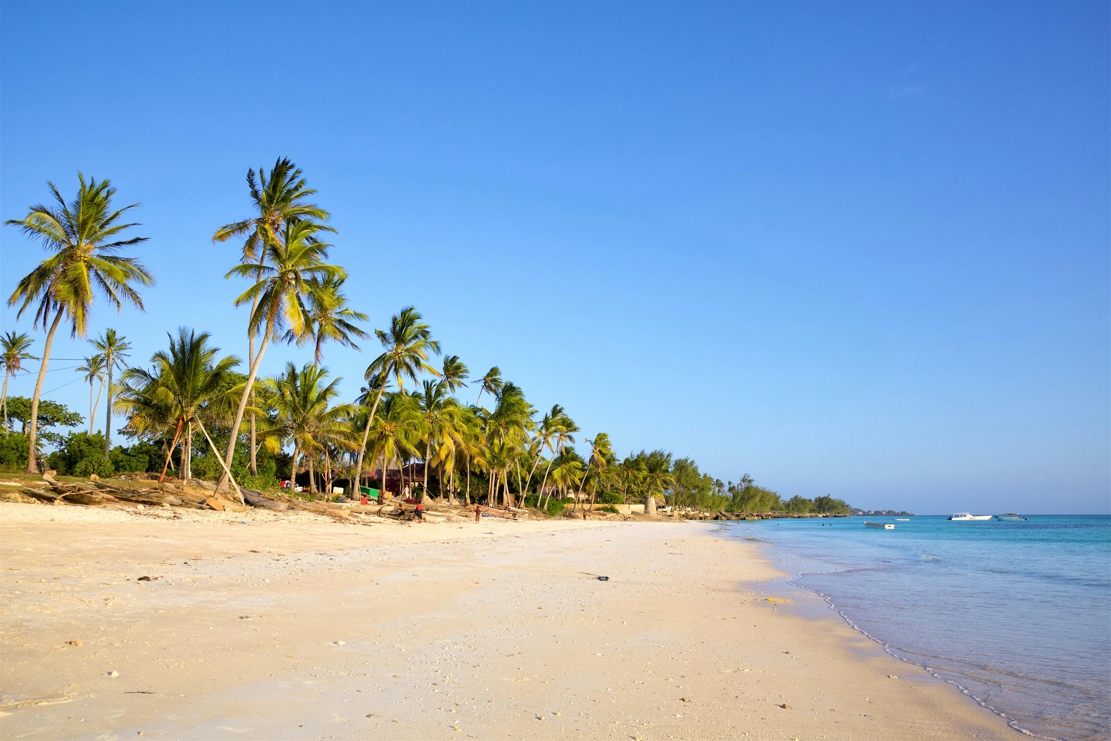 Top 10 Beaches of Zanzibar - KIZIMKAZI Beach RatePunk