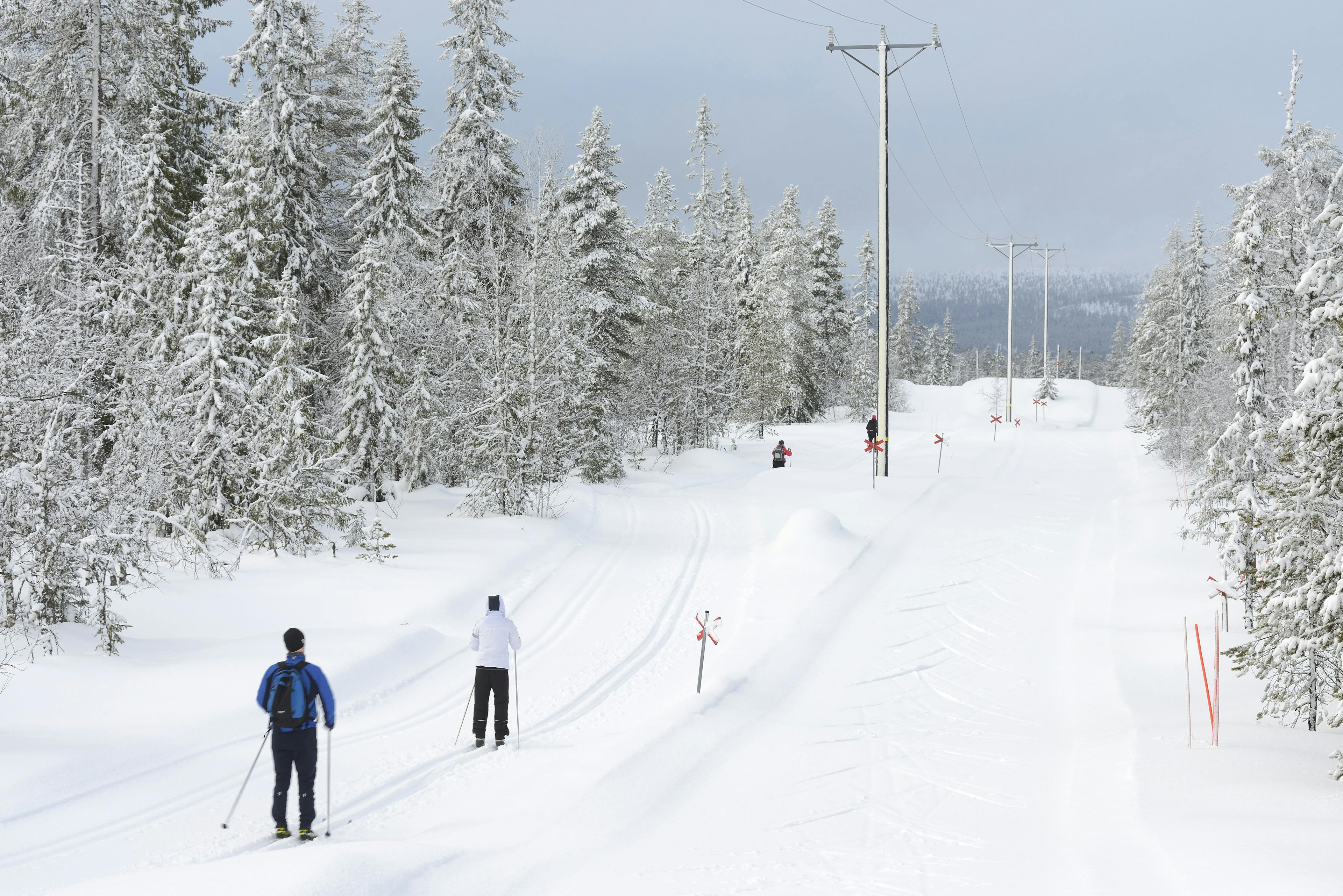 Best Ski Resorts for Beginners to Visit | RatePunk || Salen Sweden