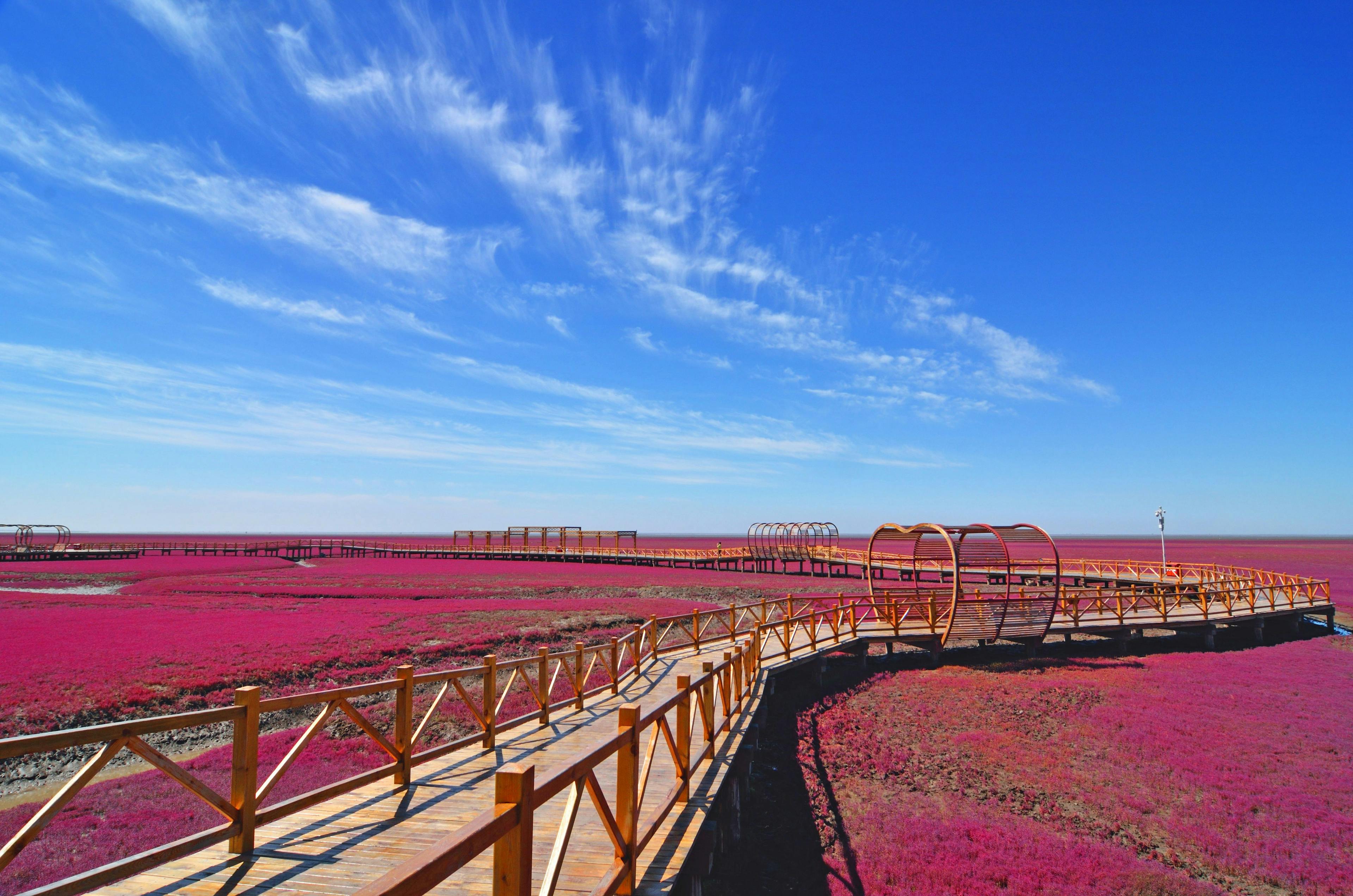 Panjin Red Beach in Liaoning, China