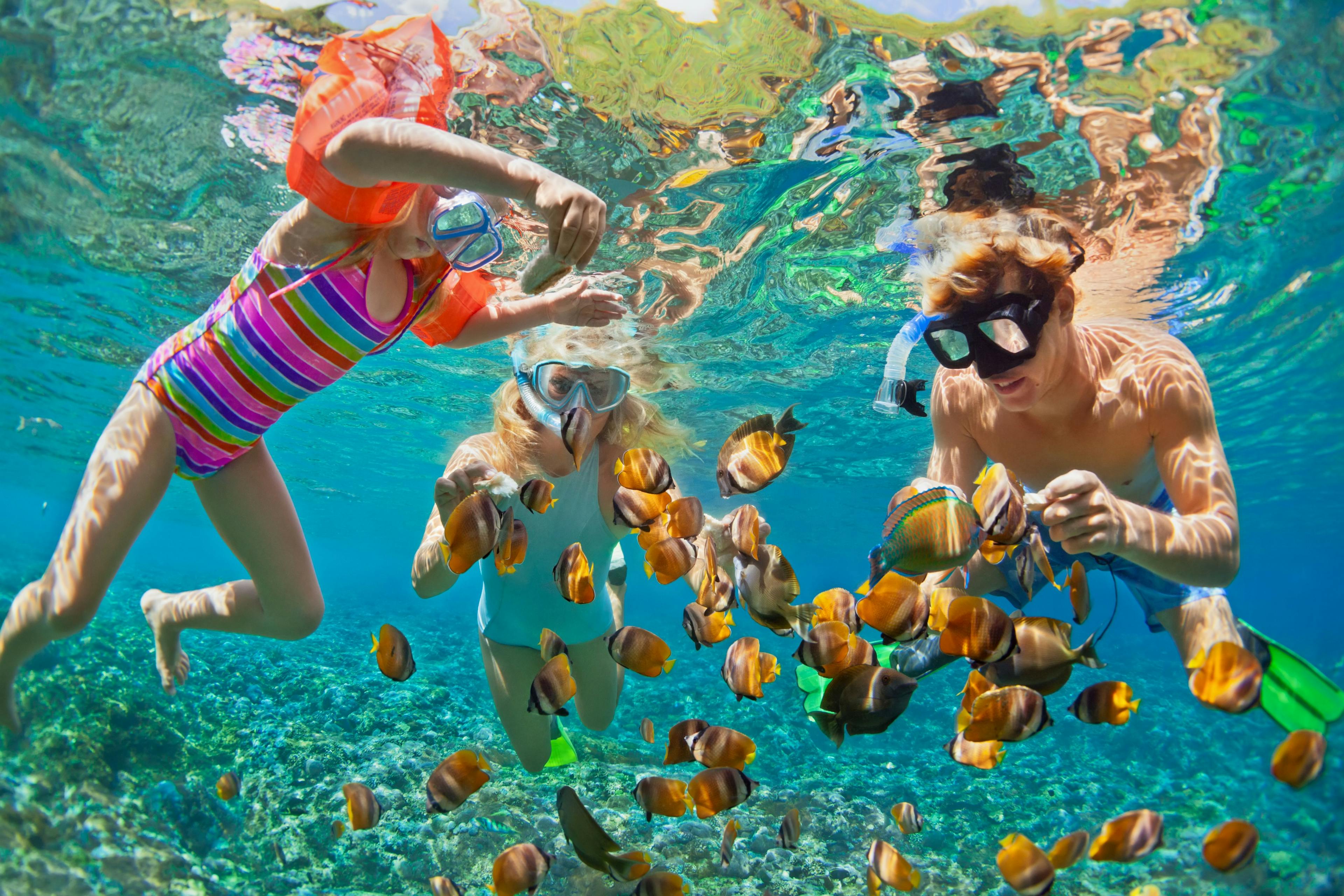 Snorkeling and Diving