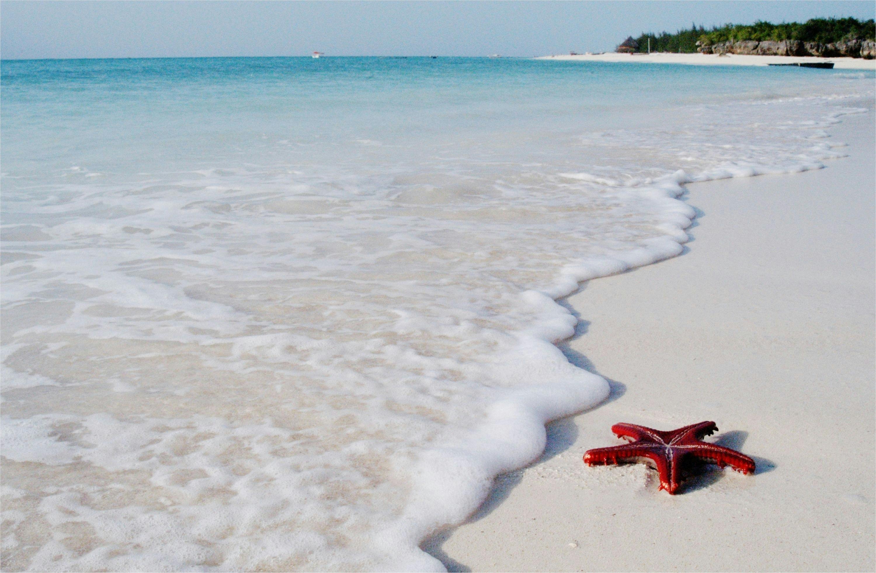 Top 10 Beaches of Zanzibar -Kendwa Beach RatePunk