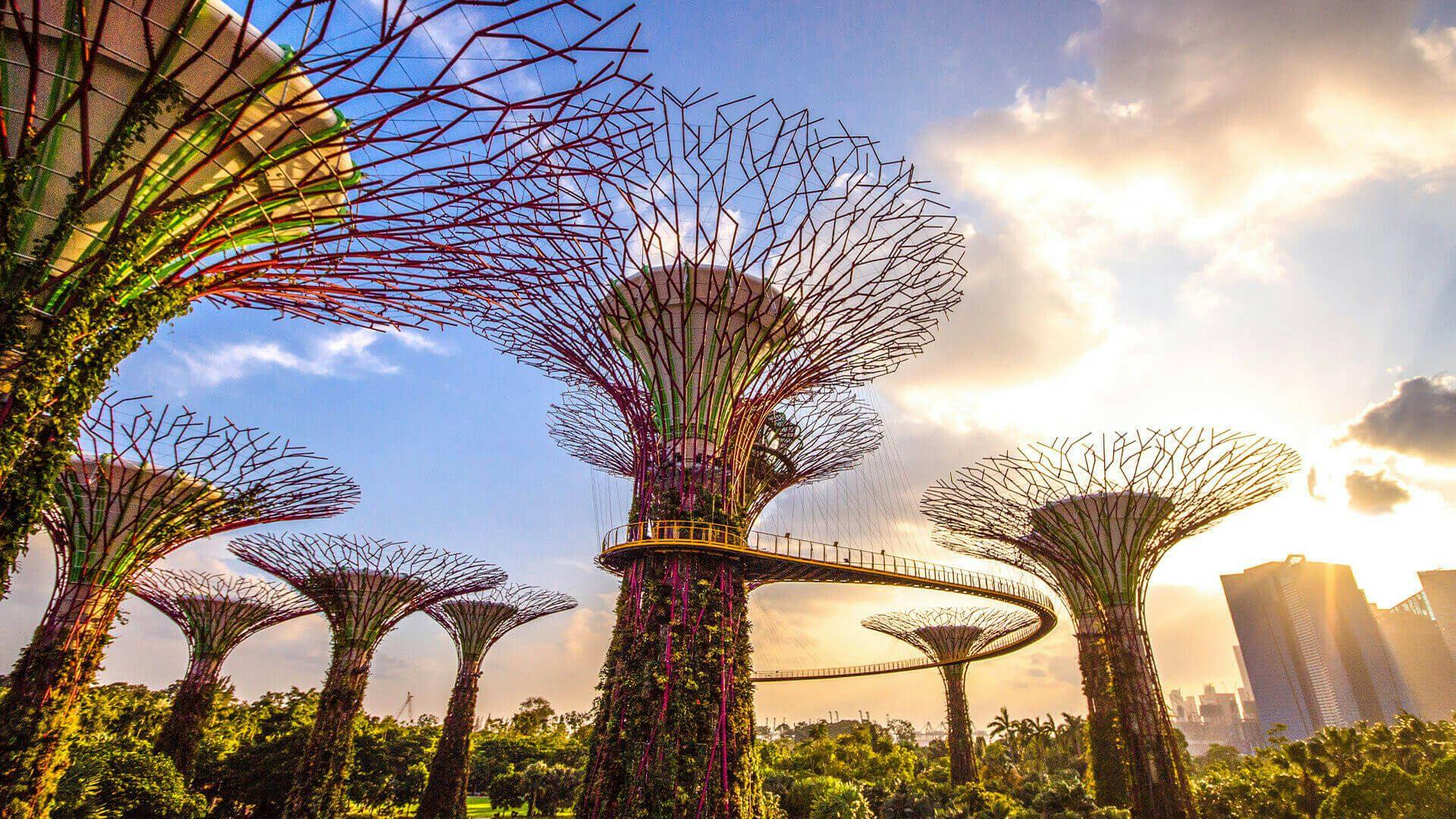 Supertree Grove in Singapore, Indonesia