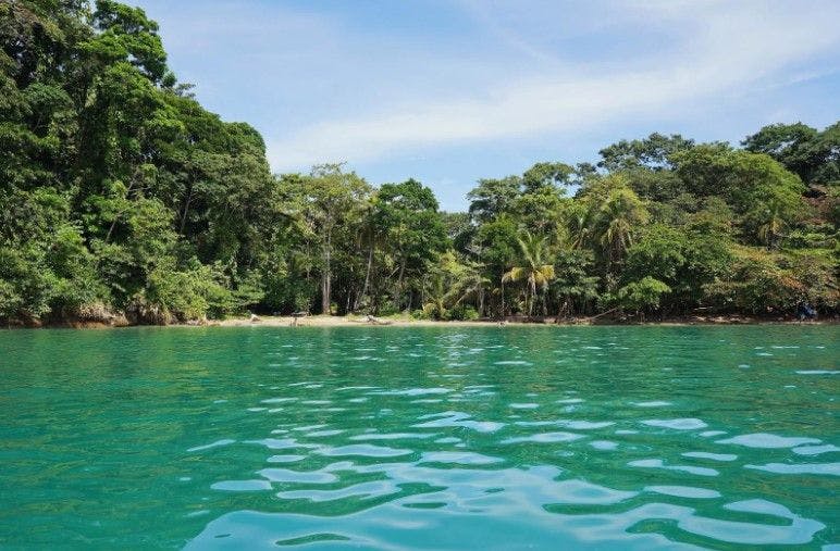 Pura Vida: Your Costa Rica Travel Guide - unspoiled beaches - ratepunk