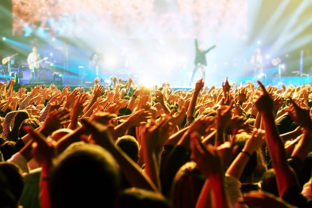 Ratepunk Rockin' in the USA The Best Rock Music Festivals You Can't